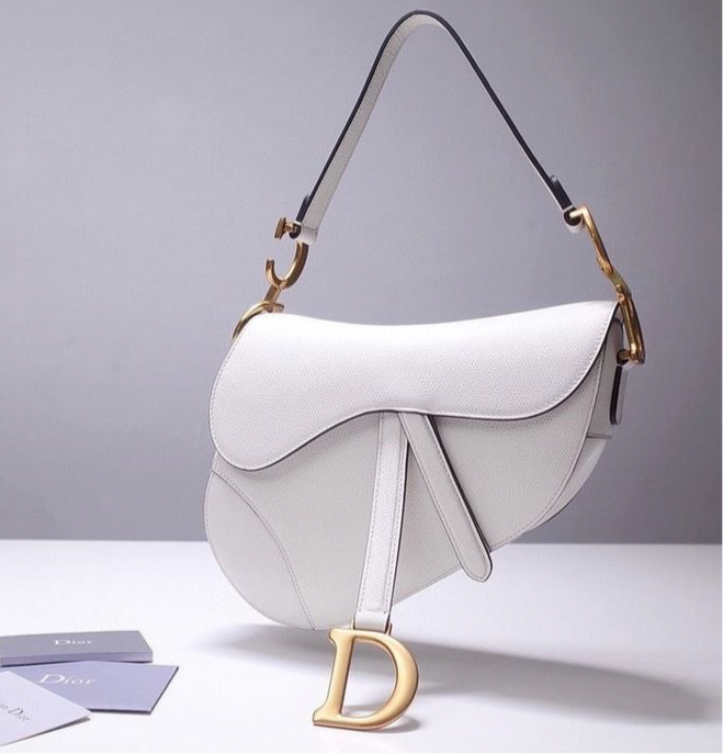 Dior Saddle Bag