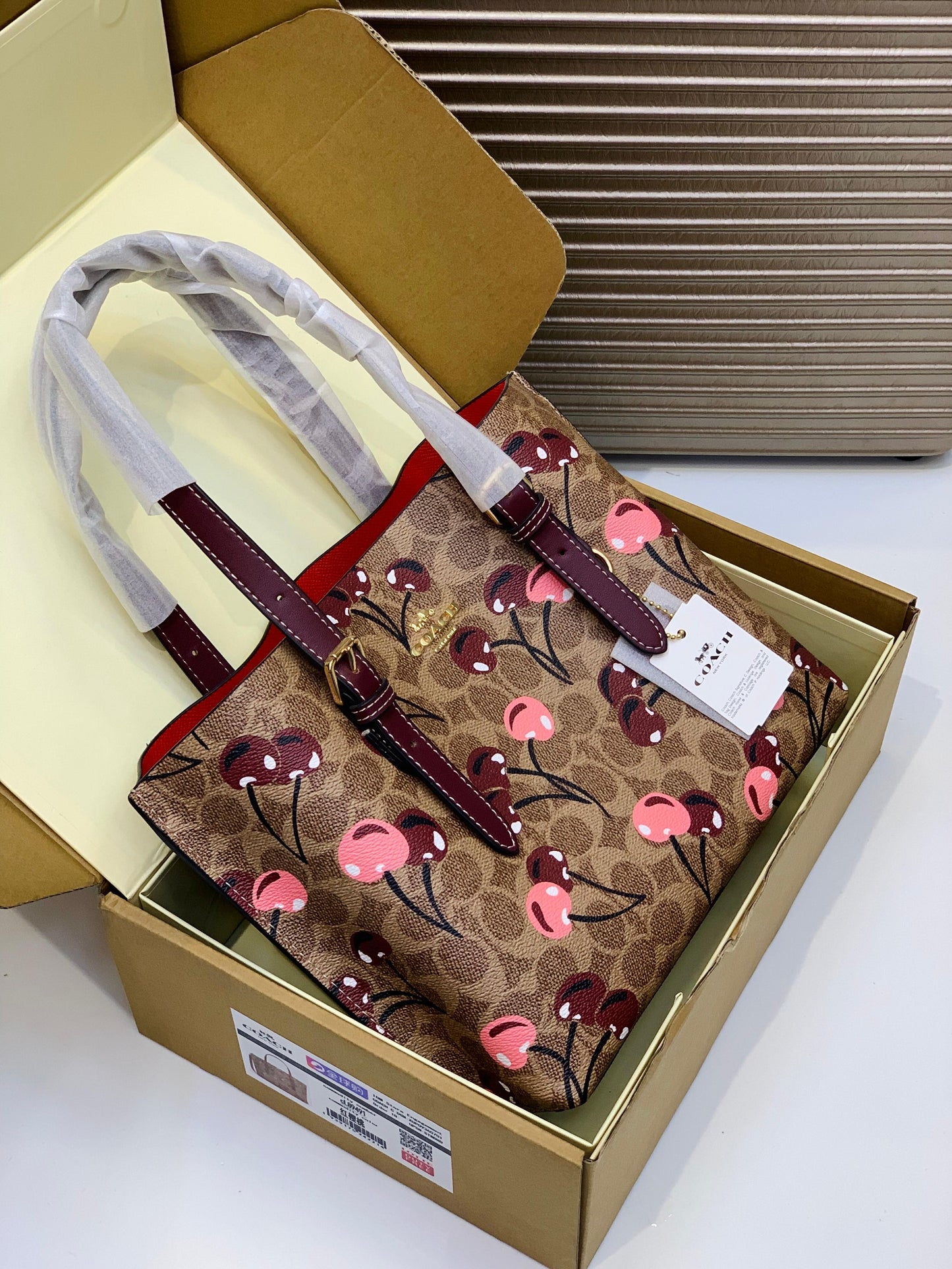 Coach Mollie Tote Bag