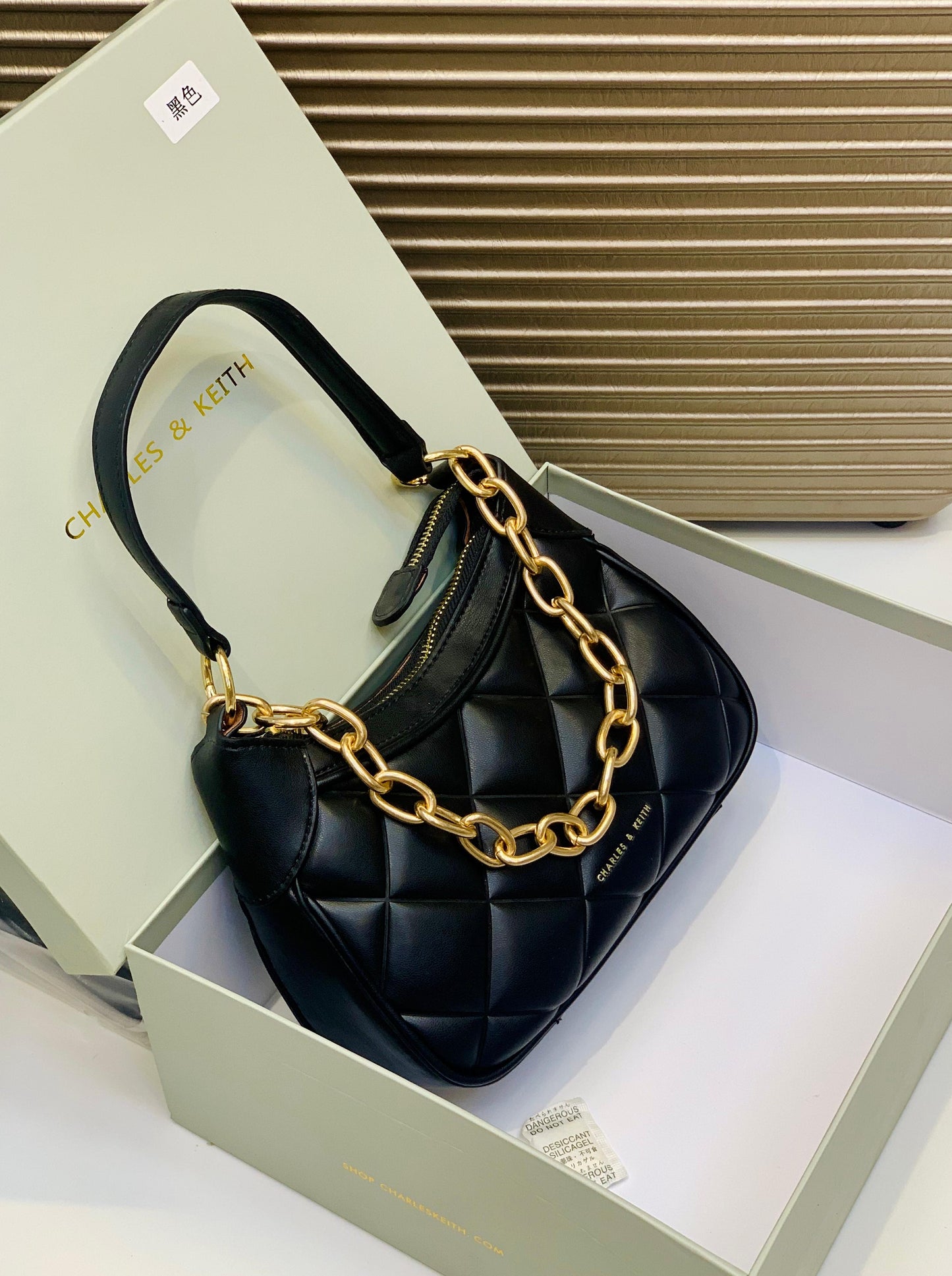 Charles And Keith Bag