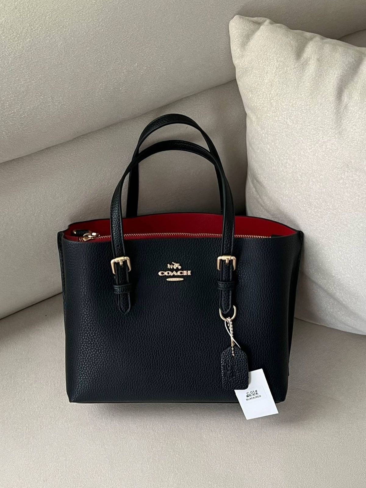 Coach Mollie Bag