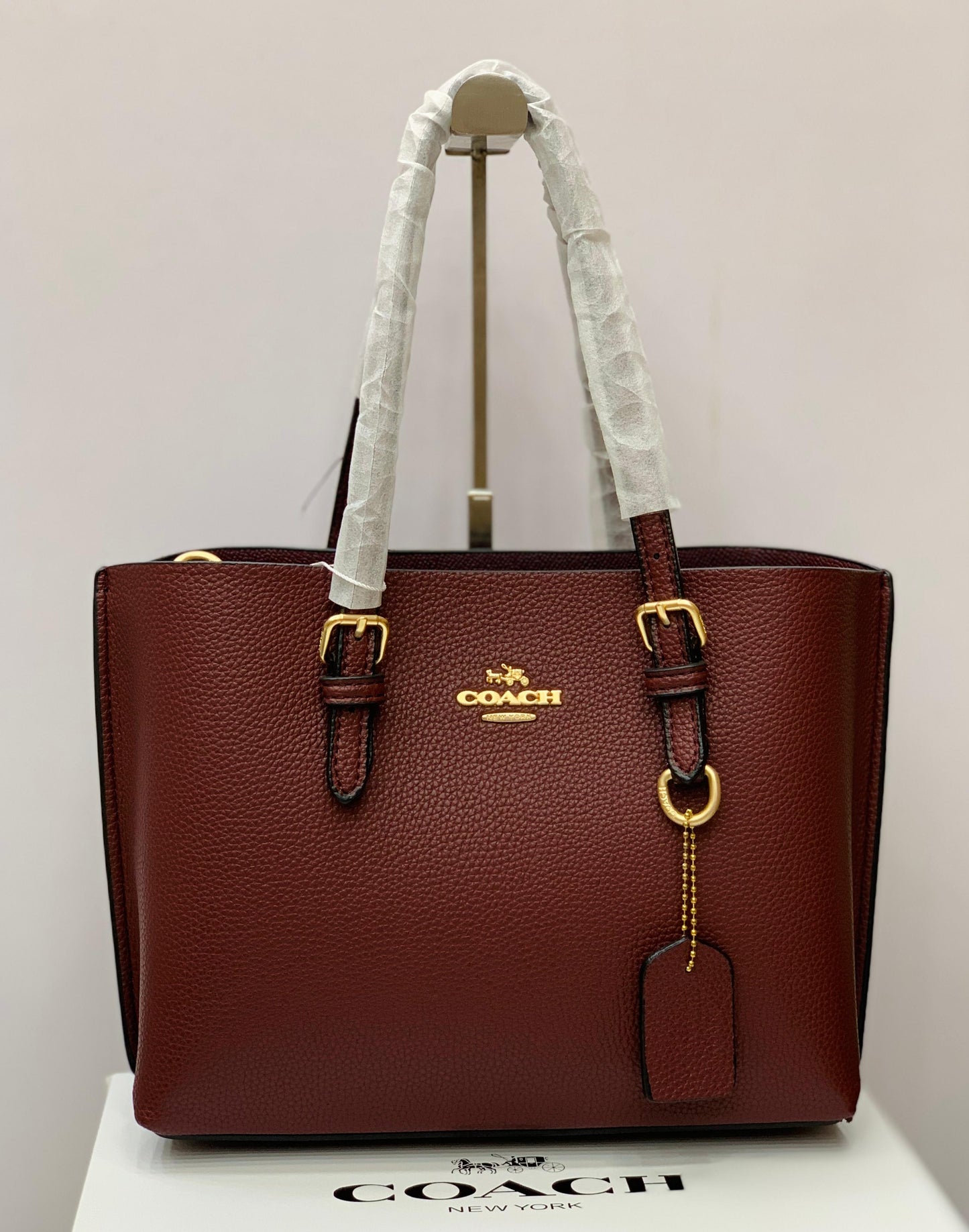 Coach Mini Tote Bag