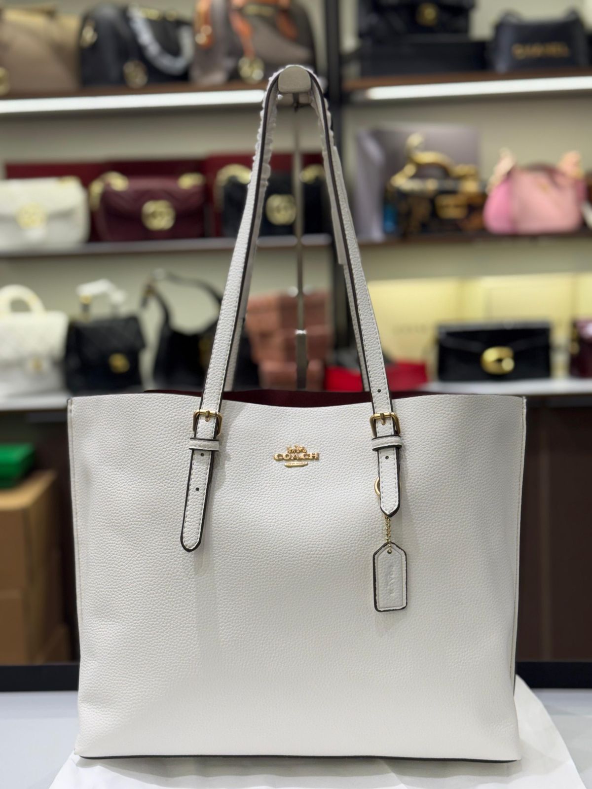 Coach Mollie Tote Bag