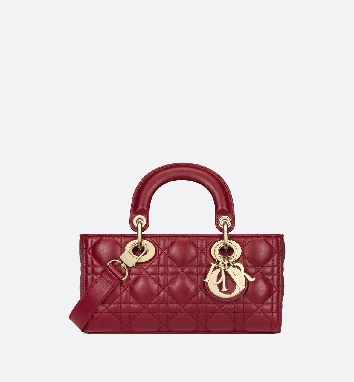 Christian Dior Lady D-Joy Bag