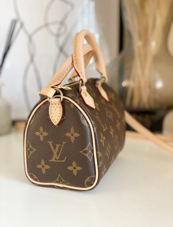 Louis Vuitton Bag