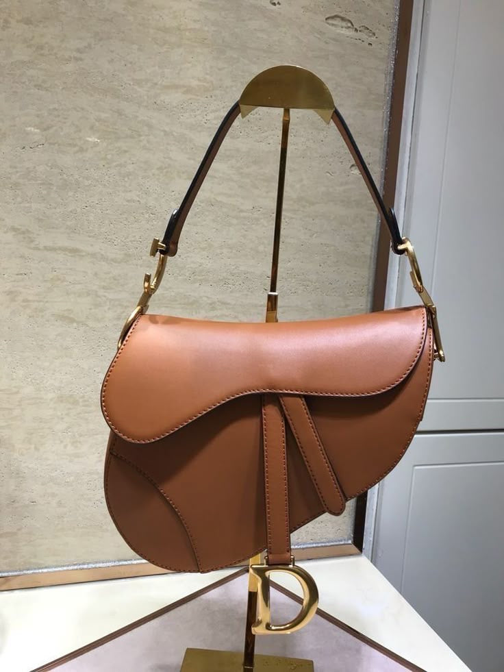 Dior Saddle Bag