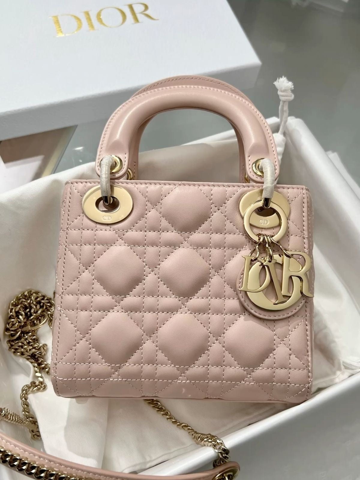 Mini Lady Dior Bag