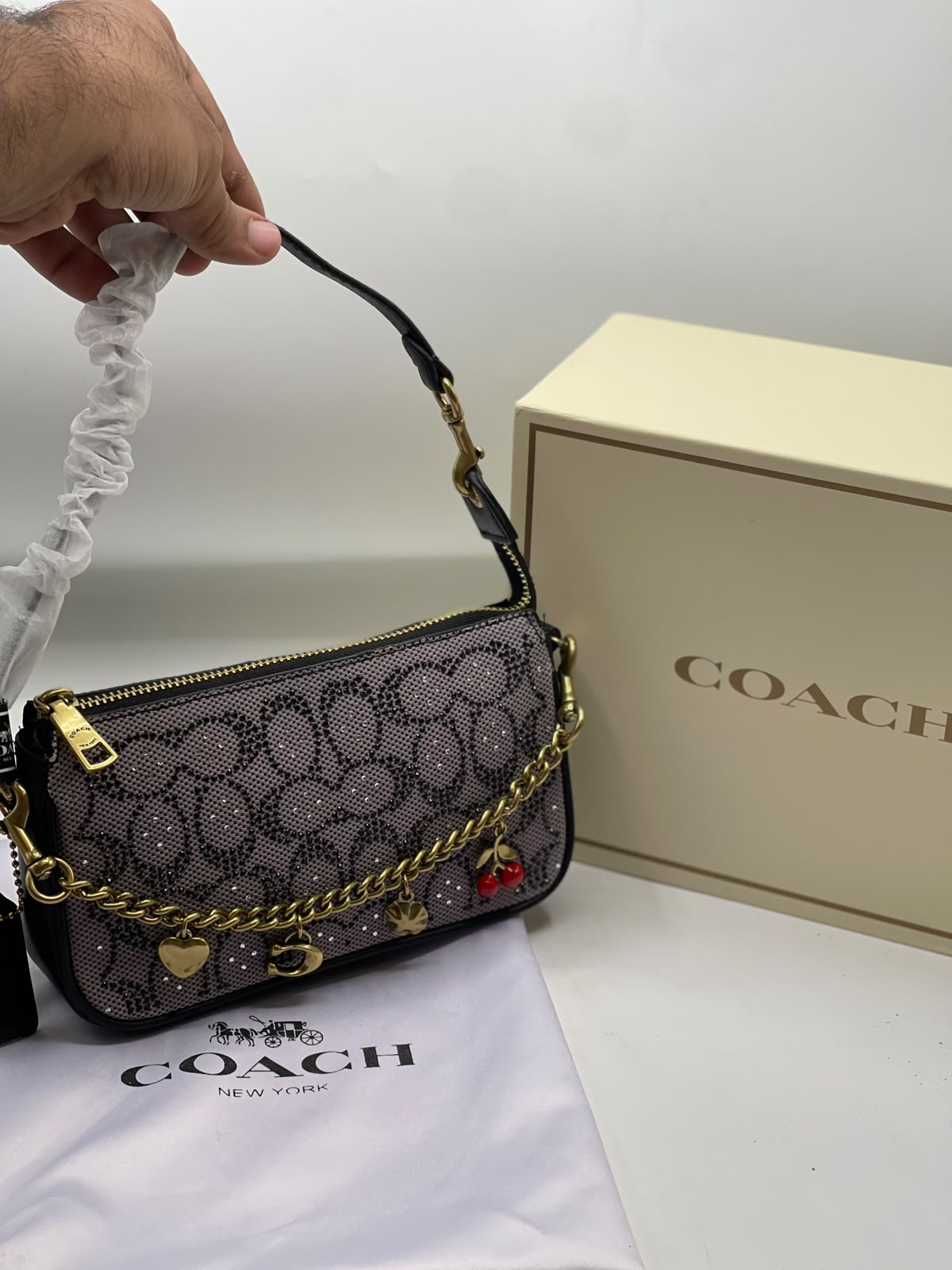 Coach Teri Shoulder Bag