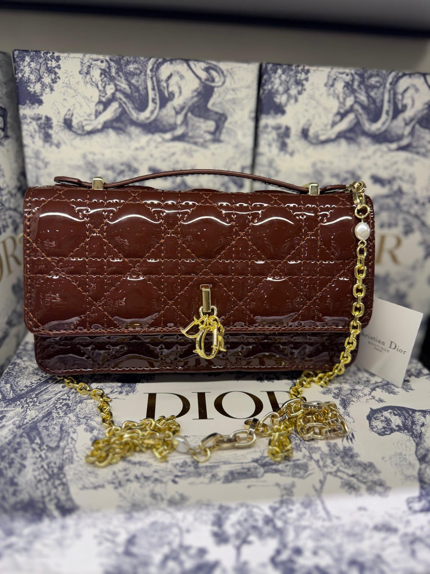 Dior Crossbody Bag