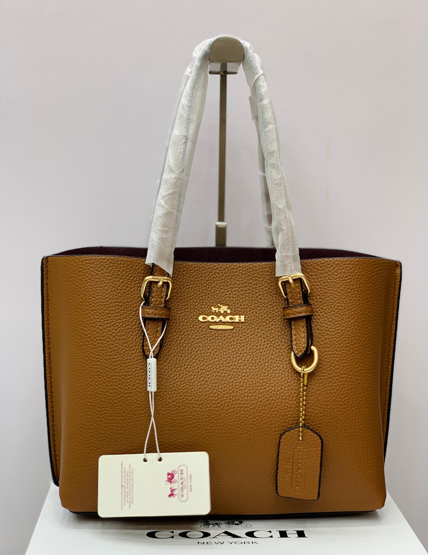Coach Mini Tote Bag
