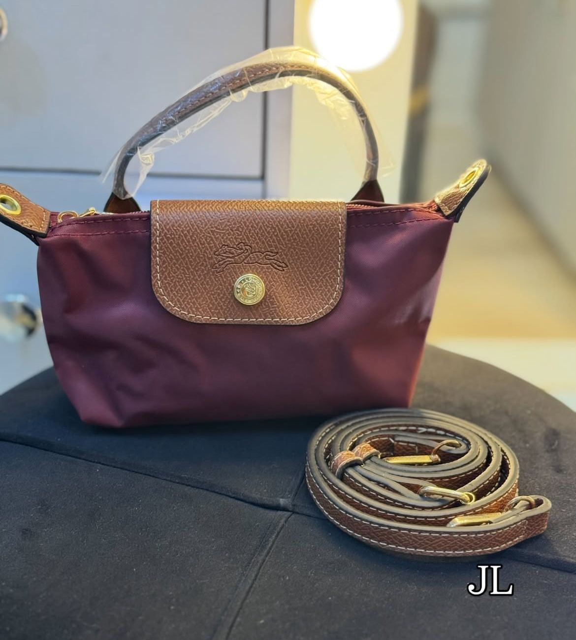 Long champ Mini Bag