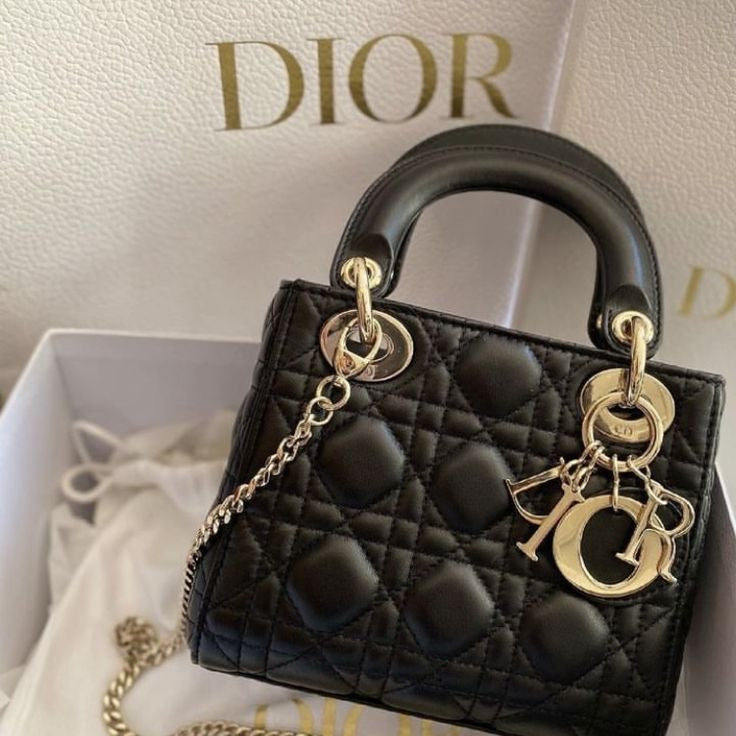 Lady Dior Hand Bag