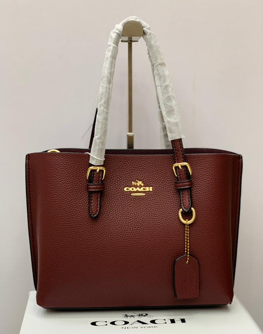 Coach Mini Tote Bag