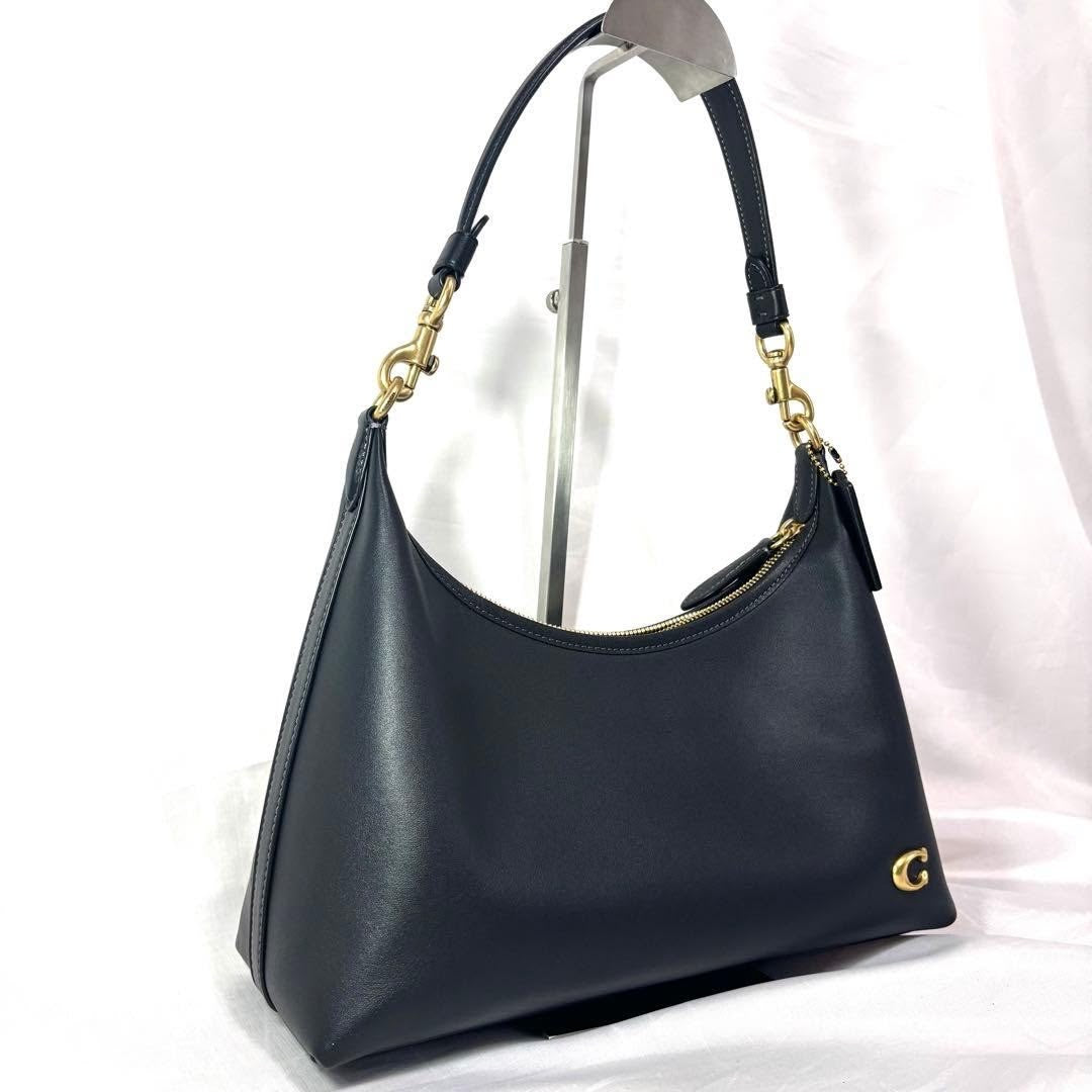 Coach Juliet Leather Bag