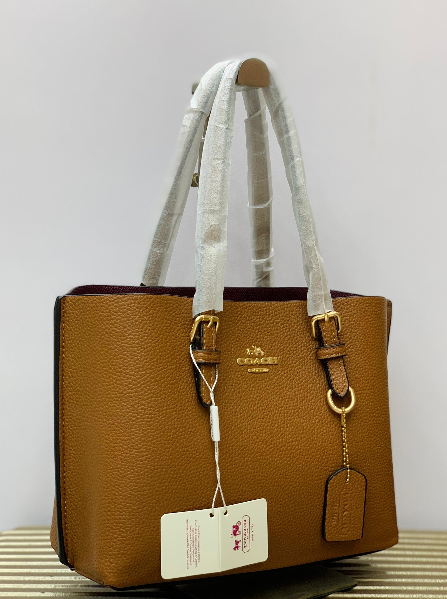 Coach Mini Tote Bag
