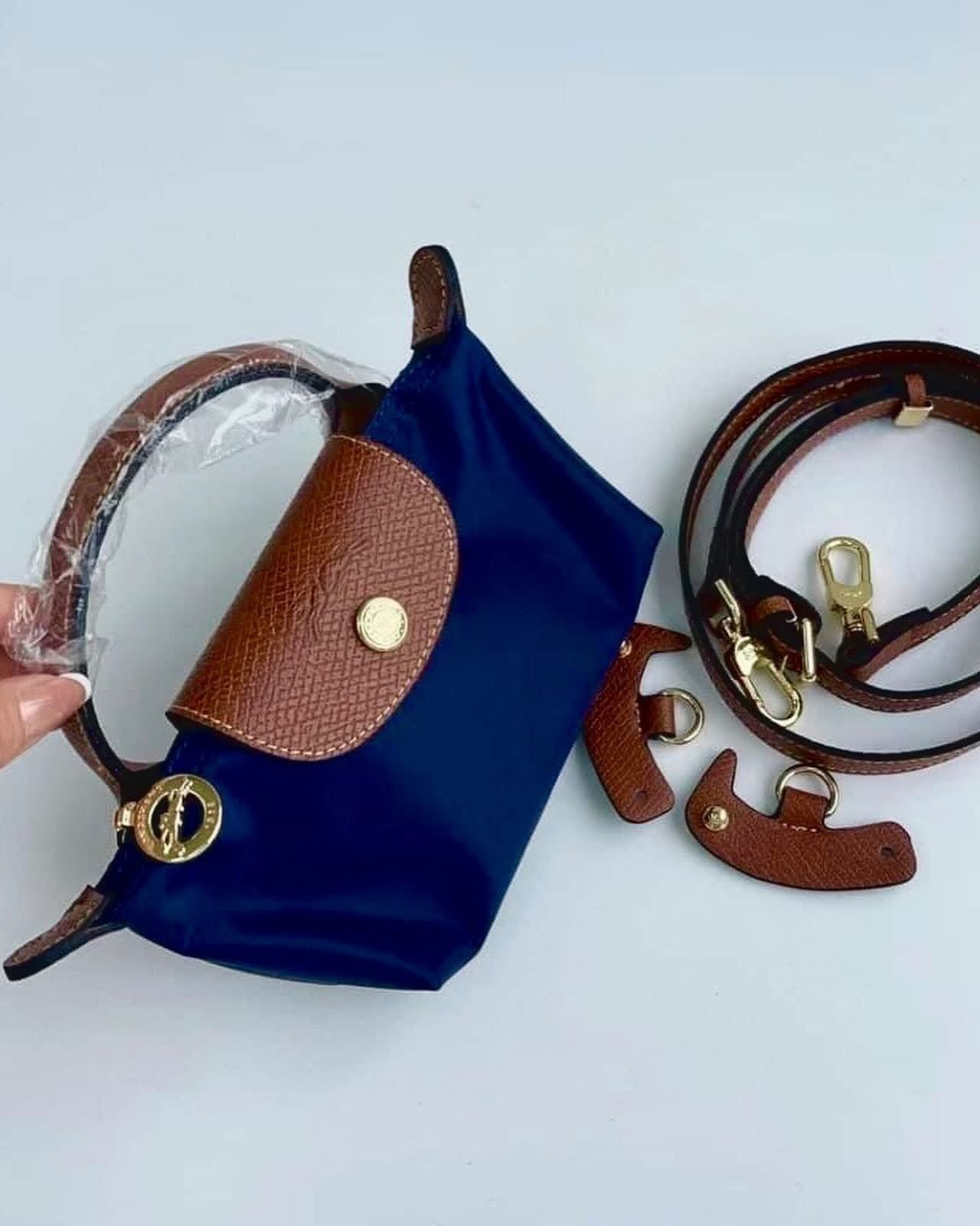 Long Champ Mini