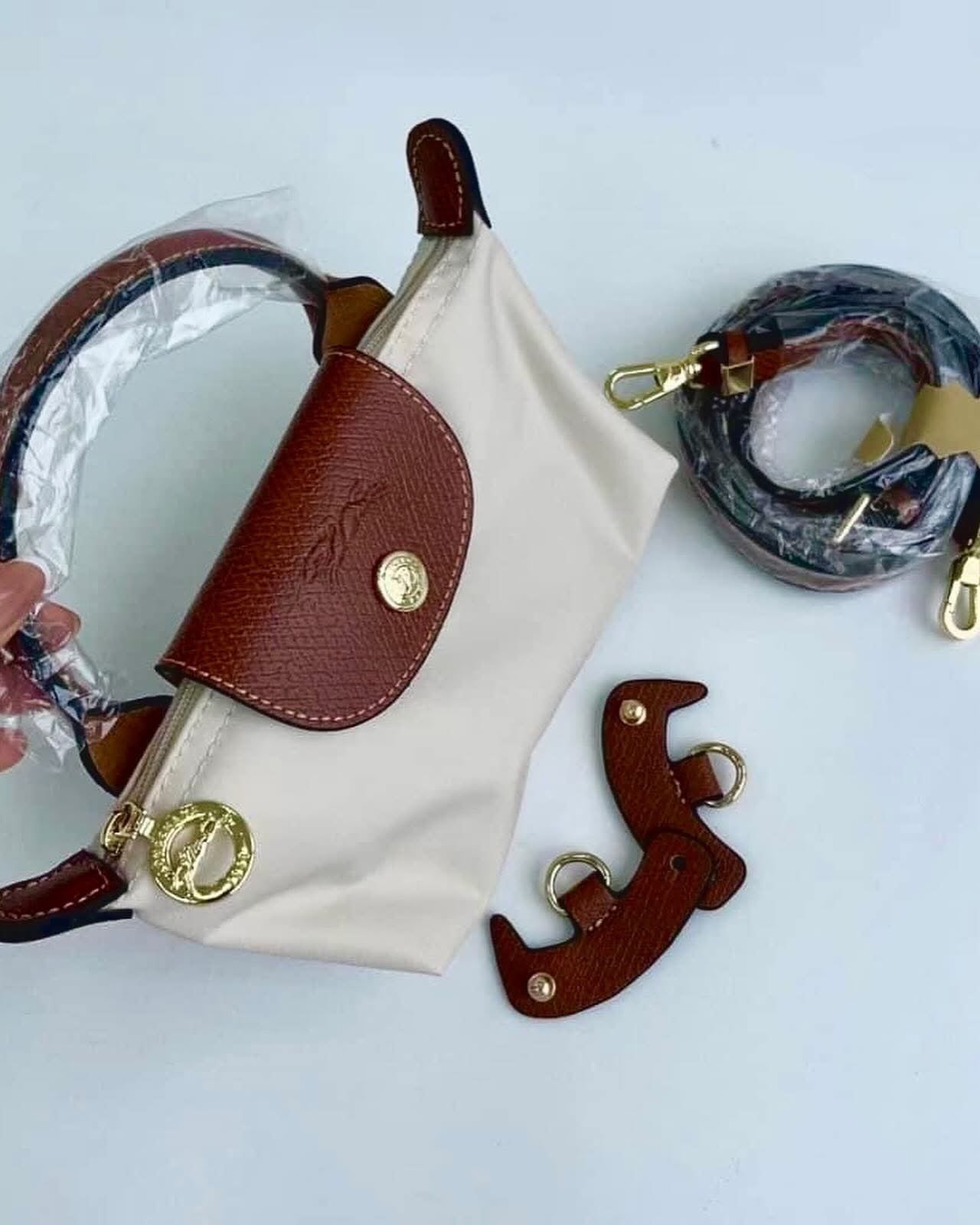 Long Champ Mini