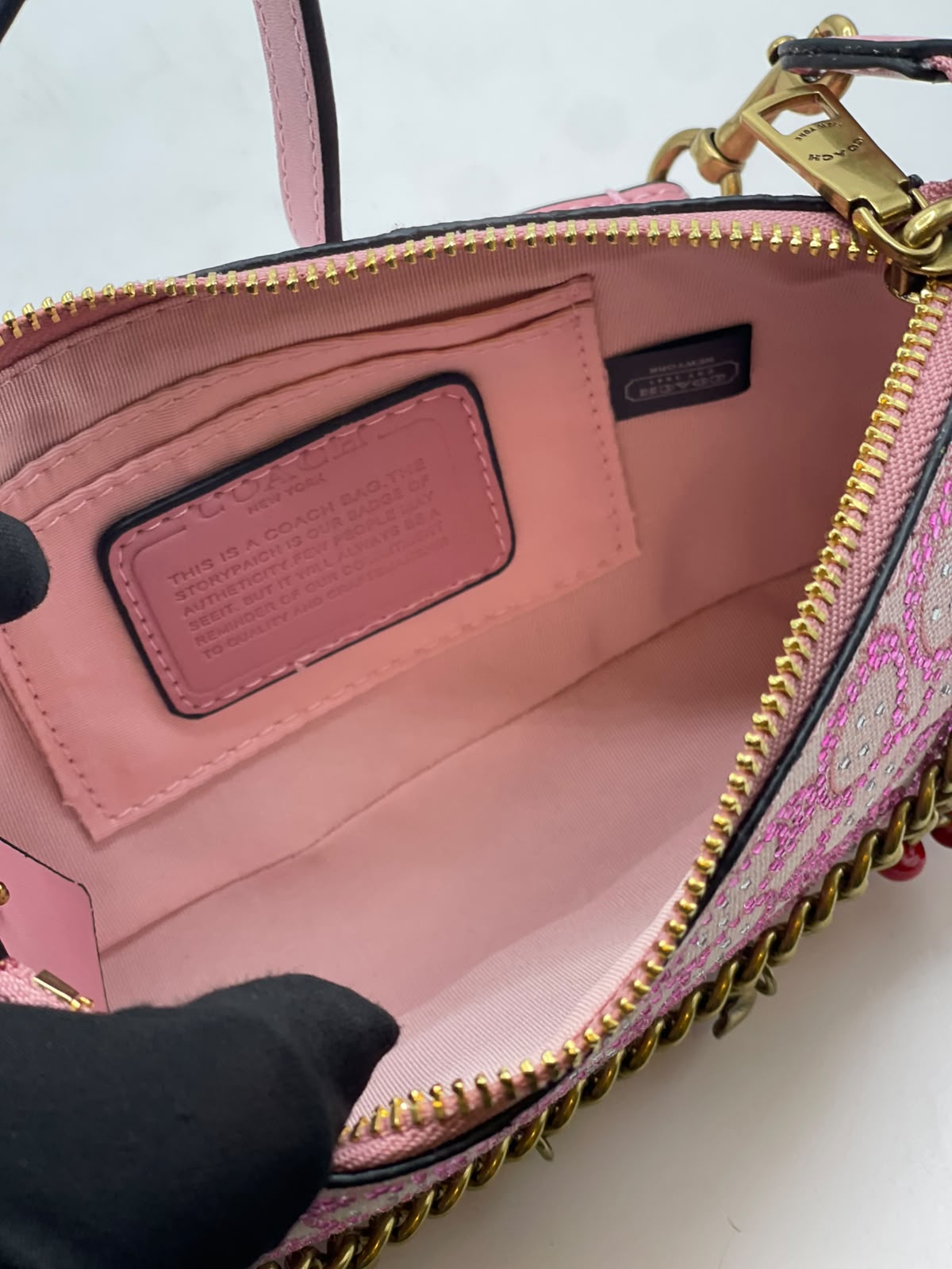 Coach Teri Shoulder Bag