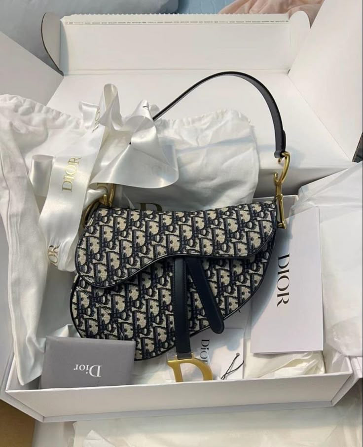 Dior Saddle Bag