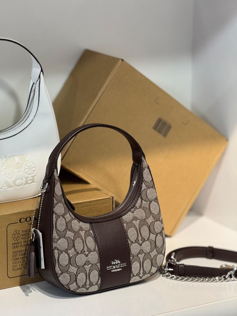 Coach Moon Bag