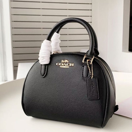 Coach Sydney Satchel Bag